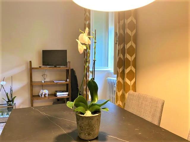 Appartement Duchi Di Castro Chic à Rome Extérieur photo